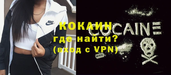 стаф Новодвинск