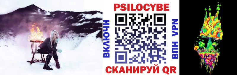 Галлюциногенные грибы Psilocybe  где можно купить   Орлов 